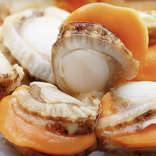 贝肉新鲜冷冻特级大号带黄带膏商用海鲜水产红贝批发黄蚬子鲜活