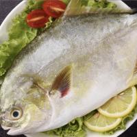 金鲳鱼新鲜冷冻特大鲳鳊鱼金昌鱼海鱼鲜活海鲜平鱼白鲳冰鲜银鲳鱼