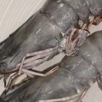 黑虎虾大虾鲜活超大老虎虾新鲜速冻深海基围虾特大海鲜九节竹节虾